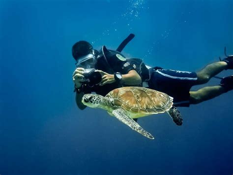 Scuba Diving In Sri Lanka Best Places Cost Operators Holidify