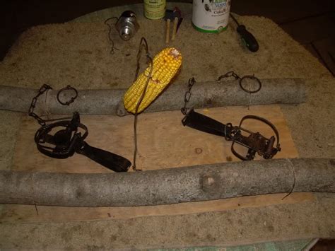 Trapping Supplies Review Simple Muskrat Floats