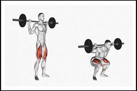 Squat C Mo Hacer Sentadillas Con Barra Correctamente