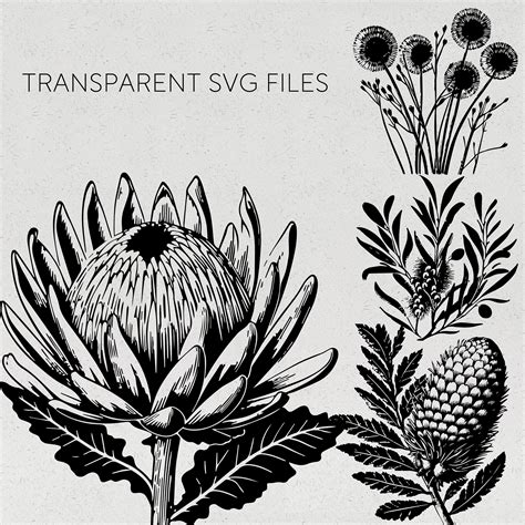 Australian Native Flowers Svg Aussie Botanicals Plotter File Etsy
