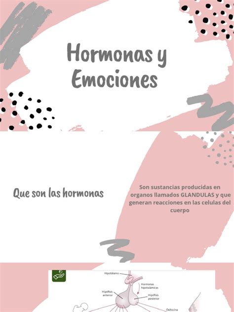 Hormonas y Emociones | PDF | Estrés (biología) | Las emociones