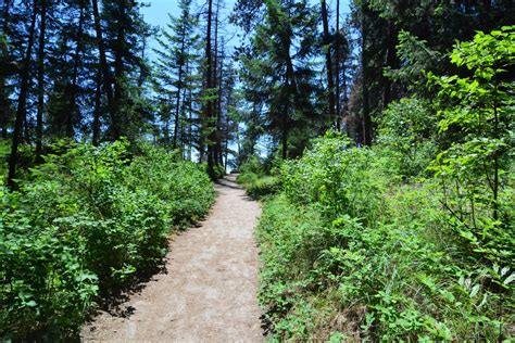 Best Hikes Near Coeur D'Alene in Northern Idaho