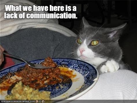 Lack Of Communication Meme 14 Examples