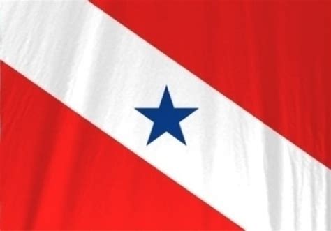 Bandeira Do Estado Do Pará Estaduais Bandeiras