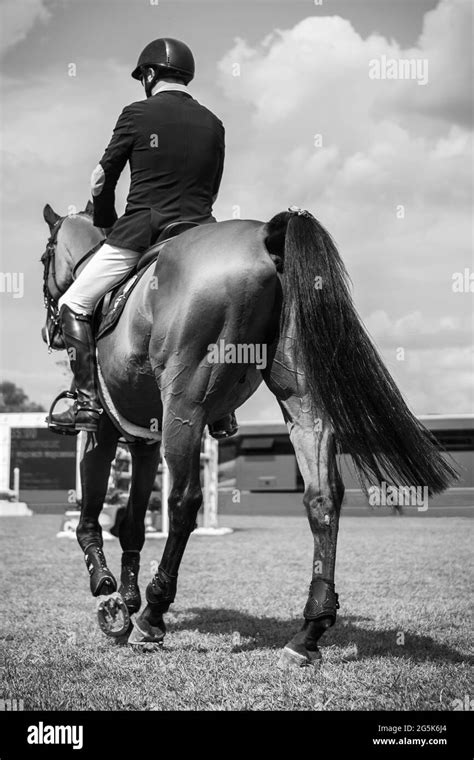 Black And White Horse Jumping Photography