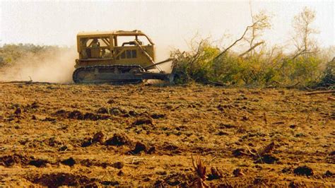 Cu Les Son Las Actividades Humanas Que M S Presionan Sobre El Ambiente