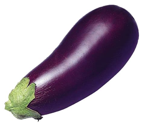 Collection Of Hq Eggplant Png Pluspng