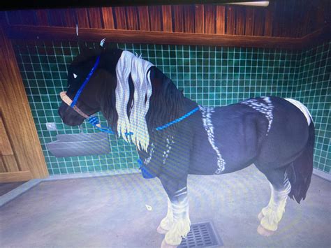 Echo Wiki Star Stable Rrp Discussion Amino