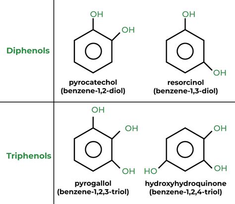 What Is A Phenol Group At Herman Cyrus Blog