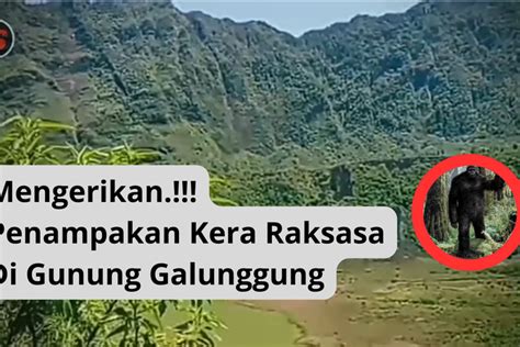 Viral Penampakan Sosok Kera Raksasa Di Gunung Galunggung Mulai Nyata