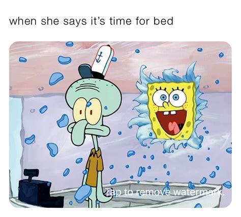 Shut Yo Bitch Ass Up Duckonquak42069 Memes
