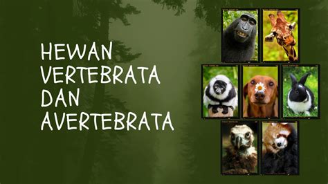 Masih Bingung Dengan Hal Yang Berbeda Hewan Vertebrata Dan Avertebrata