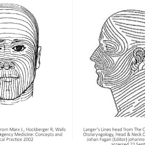 Pdf Biodynamic Excisional Skin Tension Best Lines Revisiting