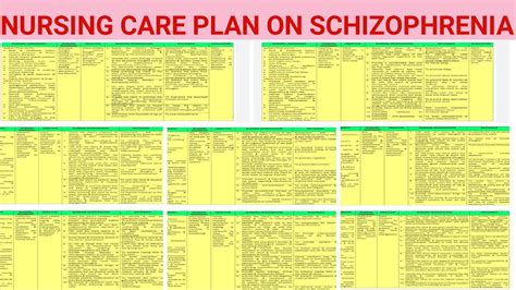 Ncp Nursing Care Plan On Schizophrenia Psychiatric Mental Health