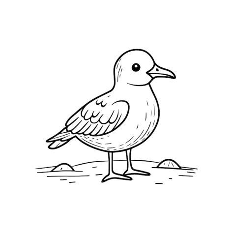Premium Vector Simple Drawing Of A Seagull On The Sand