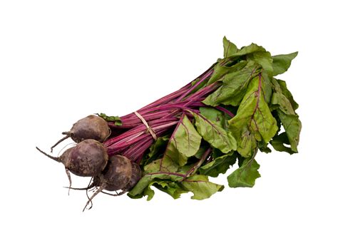 Beetroot Png Transparent Background 29713574 Png