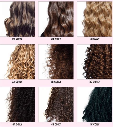 Hair Chart Curly Hair Types Types Of Curls