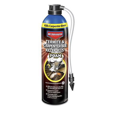 BioAdvanced Termite & Carpenter Bee Killer Plus Foam, Spray 18 Oz ...