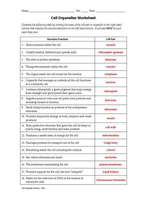 Free Cell Organelles And Their Functions Worksheet Answer Key Download Free Cell Organelles And