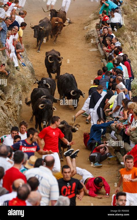 Encierro Pilon Fotos Und Bildmaterial In Hoher Aufl Sung Alamy