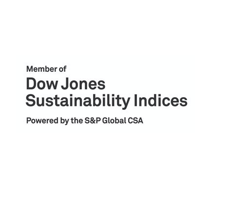 Dow Jones Sustainability Indices Components S P Global