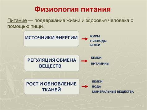 Физиология питания - презентация онлайн