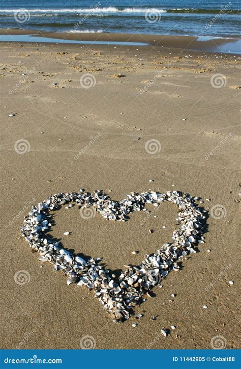 A Shell Heart On The Beach Stock Image Image Of Coastline 11442905