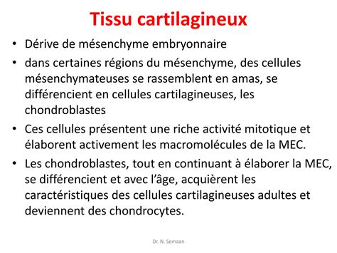 Solution Les Tissus Cartilagineux Studypool