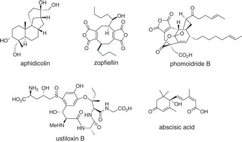 Heterologous Production Of Fungal Natural Products Reconstitution Of