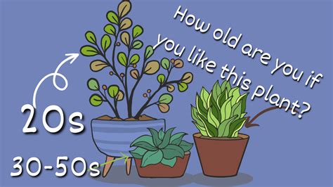 We Can Guess Your Age By Your Taste In Houseplants