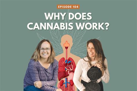 Edibles Recipe Blog Cannabis Recipes Cbd Recipes And A Cannabis Podcast