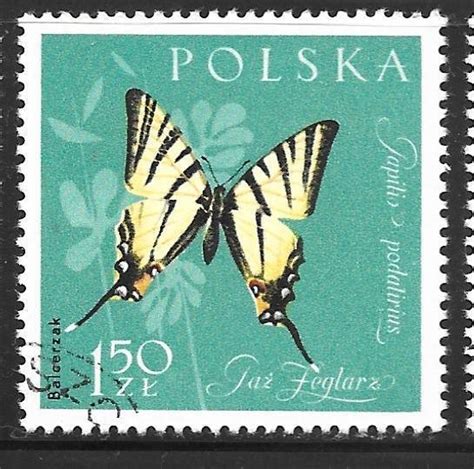 Poland 1037 1 50z Scarce Swallowtail Iphiclides Podalirius CTO VF