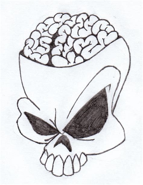 Diagram Diagram Of Brain Skull Mydiagramonline