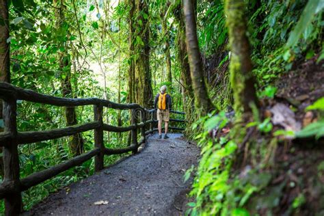 Hike in Costa Rica stock image. Image of natural, nature - 116851329