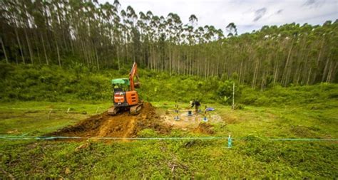 Kebun Raya Di Ikn Akan Dibangun Lewat Skema Patungan