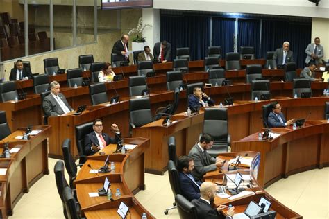 Conozca A Los Diputados De La Nueva Asamblea Nacional La Mayoría Son