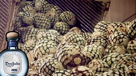 COMO se HACE el TEQUILA de la PIÑA de AGAVE Documental Como se Hace