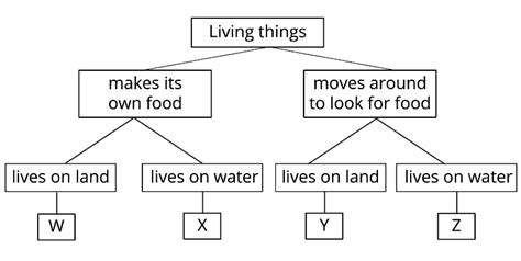 Living Non Living Things Characteristic Difference Practice Quiz