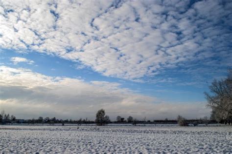 Free Images Landscape Tree Nature Snow Winter Field View Frost