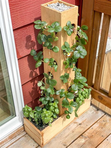 Strawberry Planter Tower Woodworking Plans Build Plans For Diy Strawberry Planter Instructions