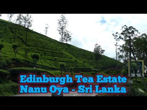 Edinburgh Tea Estate Nanu Oya Nuwara Eliya Sri Lanka Youtube