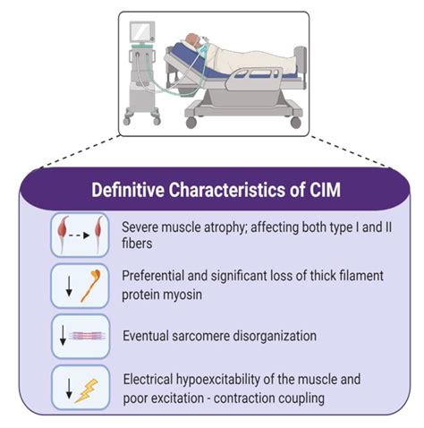 Ijms Free Full Text Intensive Care Unit Acquired Weakness Not Just