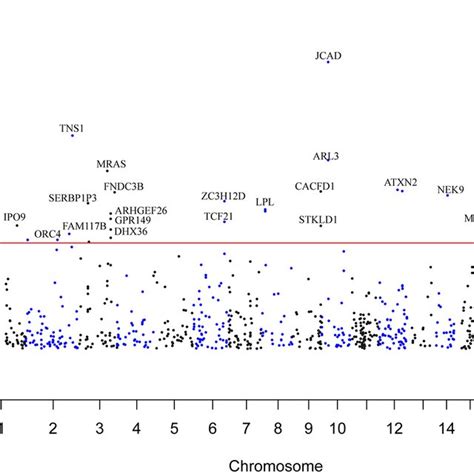 Genome Wide Distribution Of The Identified Cad Associated M⁶a Snps