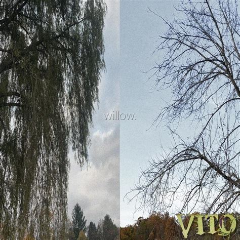 VITO 2300 Willow Lyrics And Tracklist Genius