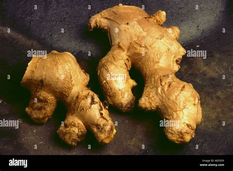 ginger root spice medicinal herb Stock Photo - Alamy