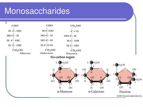 PPT - Biochemistry – Carbohydrates and Proteins PowerPoint Presentation ...