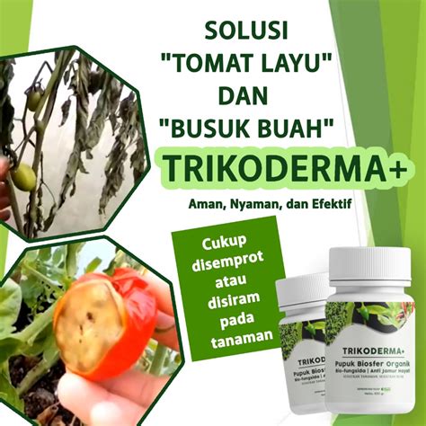 Jual Alfagreen Trichoderma Harzianum Fungisida Tricoderma Obat Patek