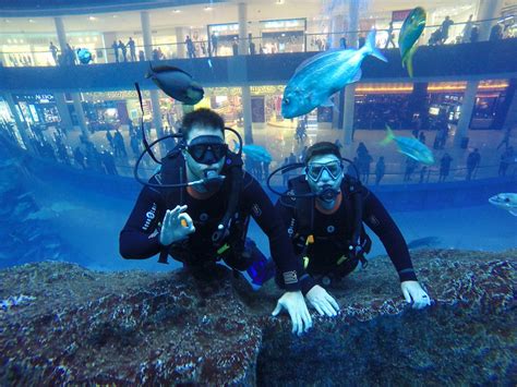 Scuba Diving in the Dubai Aquarium at the Dubai Mall - UponArriving