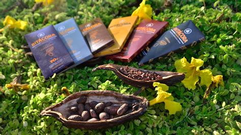 Cacao De Origen Dictar Sabrosas Charlas En Abril El Est Mulo