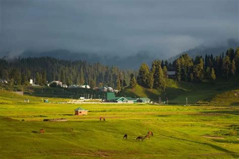 Best Time To Visit Kashmir Tips For A Memorable Trip